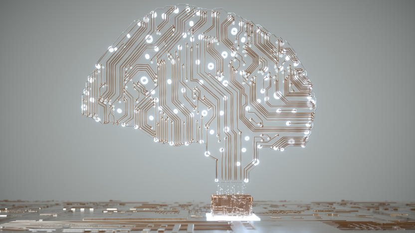 Digital Human Brain Covered with Networks